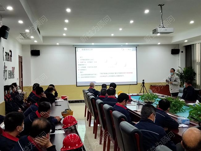 項(xiàng)目顧問階段總結(jié)及下一步工作計劃